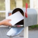 Person Putting Letters In Mailbox_