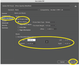 Illustrator Step 5