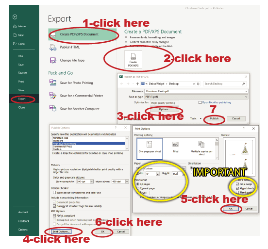 Microsoft Publisher Step